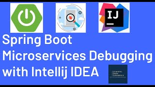 Spring Boot Microservices Debugging with Intellij IDEA  How to run microservices in Intellij [upl. by Michaelina966]