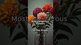 Top 10 Most Dangerous Flowers 🪻☠️😲 shorts flowers dangerousflowers top10 ai viralshorts facts [upl. by Ayomat]