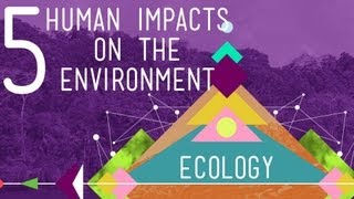 5 Human Impacts on the Environment Crash Course Ecology 10 [upl. by Anila]