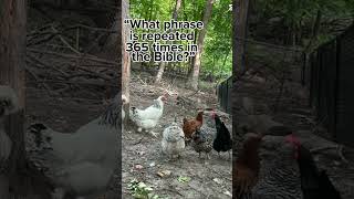 Don’t be afraid chickens chicken bible god farm jesuslovesyou [upl. by Alexandro541]