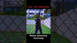 Sword Accuracy Training shortsfeed shorts swordsmanship swordsman martialarts [upl. by Magill200]