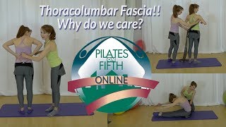 Understanding the Thoracolumbar Fascia [upl. by Ylil]