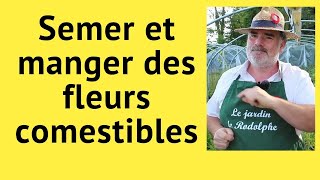 Semer planter et manger des fleurs comestibles [upl. by Akiras371]