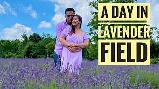 A Day In Lavender Festival  1st time in a Lavender Field  New Vlog [upl. by Ahseim683]