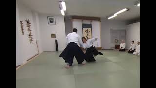 Aikido Yokomenuchi Ikkyo with Greg Angus Sensei [upl. by Dail]