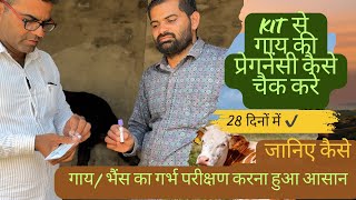 Bovine pregnancy test kit गाय का गर्भ कैसे चैक करें। [upl. by Featherstone]