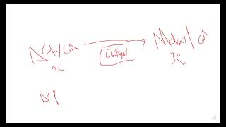 L63 FATTY ACID SYNTHESIS [upl. by Bayless]