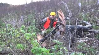 Chasse orignal 2015 NB  Moose hunting 2015 NB [upl. by Roy]