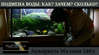 Подмена воды в аквариуме как сколько и зачем [upl. by Thorpe]