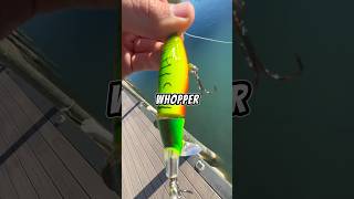 Fishing with my smallest WHOPPER PLOPPER 🐟🎣 fishing fish [upl. by Conway]