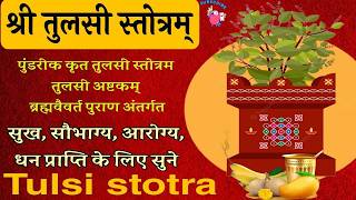 पुण्डरीक कृत श्री तुलसी स्तोत्रम  Tulsi Stotra  Tulsi Vivah  Tulsi Puja Mantra in Hindi [upl. by Avenej]