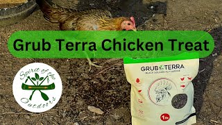 Grub Terra Chicken Treat [upl. by Navak]