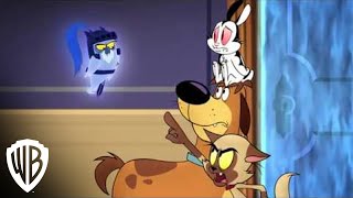 Bunnicula  Season 1 Part 1  quotWhooo IsThe Knight Owlquot Clip  Warner Bros Entertainment [upl. by Oirramed]