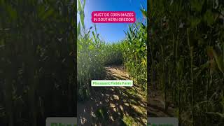 Must Do Corn Mazes in Southern Oregon southernoregon cornmaze [upl. by Haveman]