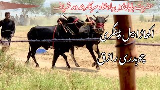 Bull race Dina Akhara Jhelum Bull race chakswari [upl. by Sension]