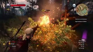 HOW DOES THE MAXIMUM POWER LOOK YRDEN QUEN IGNI AKSJI AARD IN WITCHER 3 [upl. by Thom]