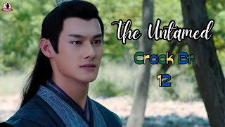 The Untamed Crack Br  12 [upl. by Kimura]