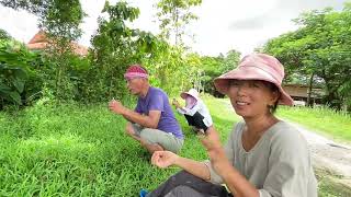 Transplanting Trees and Bamboo  Idyllic Life in Lifechanyuan International Family Thailand Branch [upl. by Ailecra]