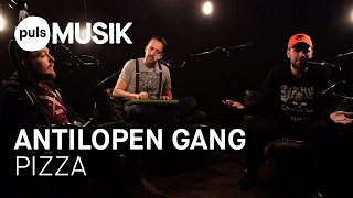 Antilopen Gang  Pizza PULS Live Session [upl. by Winsor]