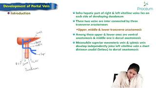 Portal Vein Development  Embryology Lecture [upl. by Eloccin288]