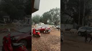 Rain in Siolim Goa [upl. by Hakan]