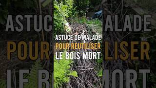 Que faire de ton bois mort [upl. by Emmanuel]