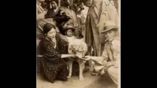 Life and Death of Hachi  Lost and very rare PHOTOS [upl. by Irafat603]