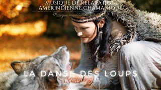 La danse des Loups Musique Chamanique Amérindienne avec Tambour et Chants de Lumières [upl. by Ellenhoj703]