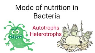 Mode of Nutrition in Bacteria in hindi [upl. by Eihtur]