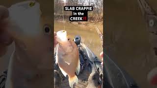 SLAB CRAPPIE in this skinny CREEK‼️ [upl. by Aela]