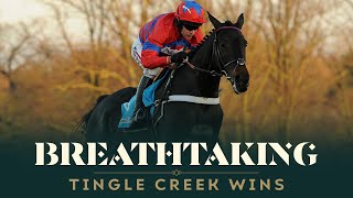 FIVE BREATHTAKING TINGLE CREEK VICTORIES [upl. by Eslek627]