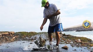 Increíbles técnicas de Pesca con Cangrejos [upl. by Delano]