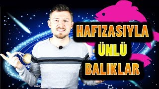 Balık Burcunun En Kötü Özellikleri [upl. by Dewar]