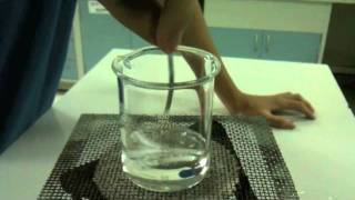 Magnesium Reaction with Sulphuric acid [upl. by Donn768]