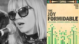 The Joy Formidable  Amoeba Green Room Session [upl. by Dahij]