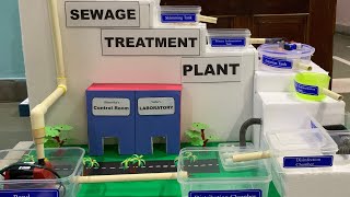 Sewage Treatment Plant Working Model science project [upl. by Geordie]