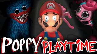 Mario Plays Poppy Playtime  Chapter 1 amp 2 [upl. by Niveg200]