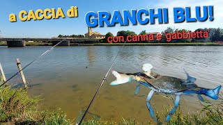 a caccia di GRANCHI BLU con canna e gabbietta 🦀 [upl. by Reich]