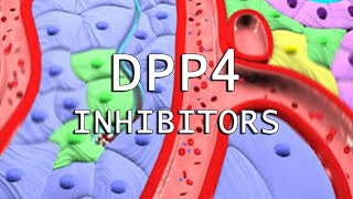 DPP4 Inhibitors [upl. by Thalassa]