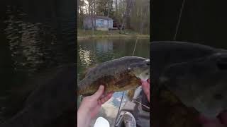 Whopper on the Plopper [upl. by Hapte]