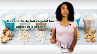 Comment faire son lait végétal bio sans additifs et pour pas cher en 2 min chrono [upl. by Nrol]