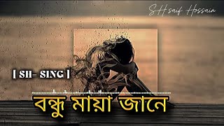 বন্ধু মায়া জানে\\ bondhu Maya jaane Sh song new song famous song [upl. by Starla]