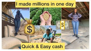 THE MOST LUCRATIVE AGRIC BUSINESS IN NIGERIA  quick and easy cash in Nigeria [upl. by Searcy176]