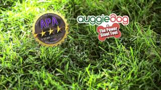 Auggie Dog  As Seen on TV [upl. by Dogs105]