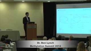 Ben Lynch MTHFR Methylation amp Gut Health [upl. by Hahnke]