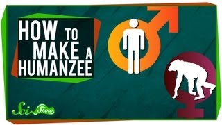 How to Make A Humanzee [upl. by Iinden479]