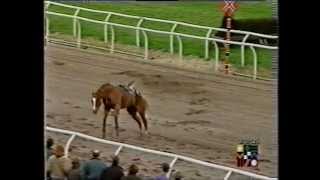 Scary Incident at Southwell Racecourse [upl. by Ronyar605]