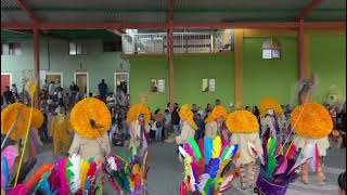 Danza De Los Tlacololeros de Cuauhtenango [upl. by Larred]