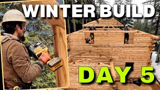 Day 5  Extreme Log Cabin Winter Build  Log TrussGablesPurlins [upl. by Aisayt509]