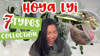 🌱HOYA LYI COLLECTION  7 Types  Hoya Comparison  Long Leaves  Hoya Lyi Prism  Care tips [upl. by Abott]